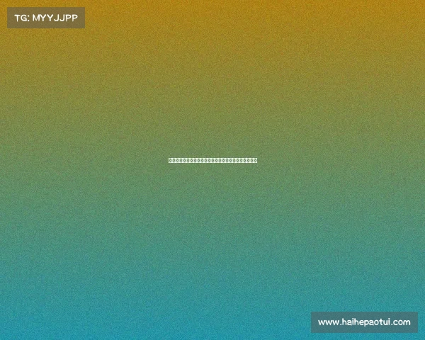 法甲球探体系分析及其在全球足球人才挖掘中的独特优势