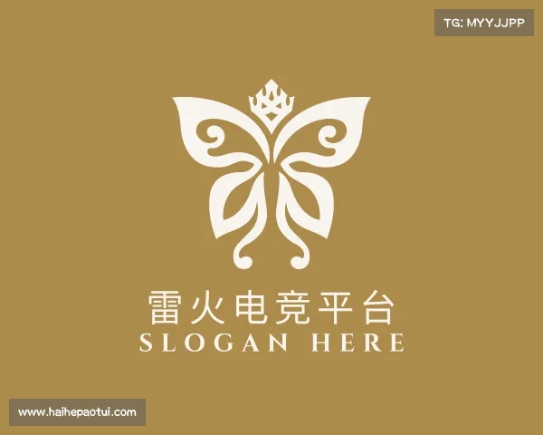 介绍雷火电竞app官网入口